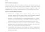 write SEO blog posts and articles on any topic